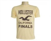 Camisa Hollister